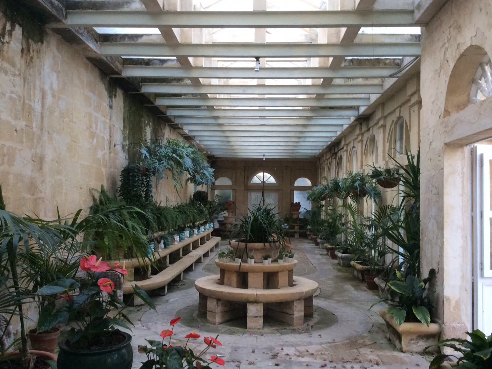 Plant-filled orangery hall at Palazzo Parisio, Naxxar, Malta